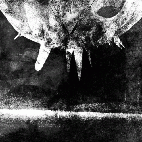 Wesenwille : Revelation of the Construct